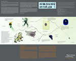Migrating Identity Publication